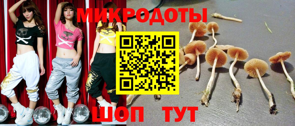 Псилоцибиновые грибы ЛСД Людиново