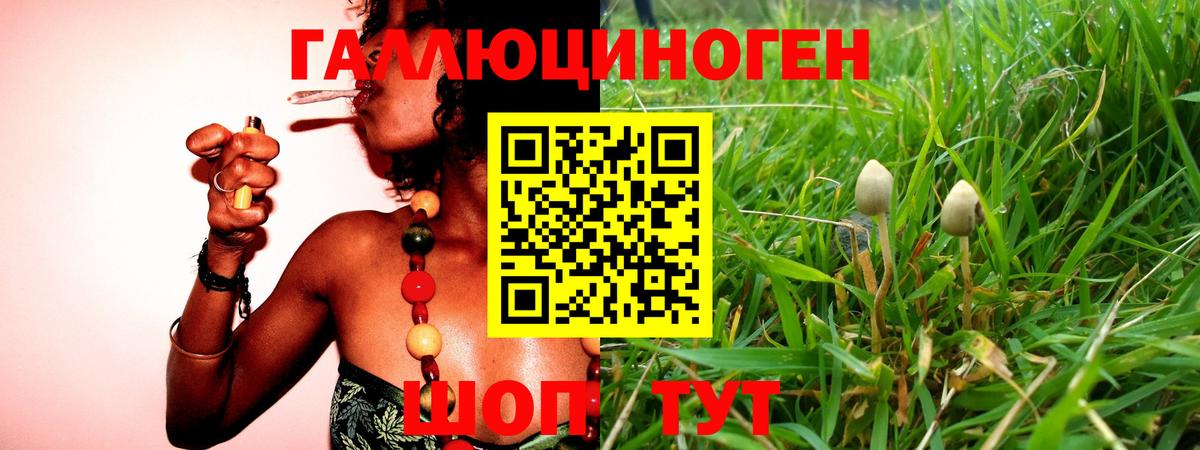 Псилоцибиновые грибы ЛСД  Вход с VPN  Людиново  Псилоцибиновые грибы Cubensis 